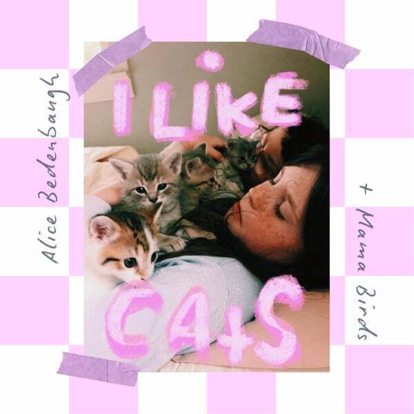 Cover art for I Like Cats (Live)